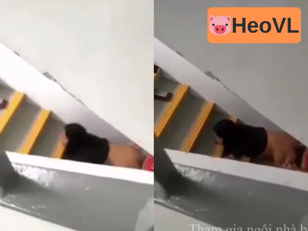 phim sex địt nhầm Quay lén cặp đôi giã nhau dưới cầu thang